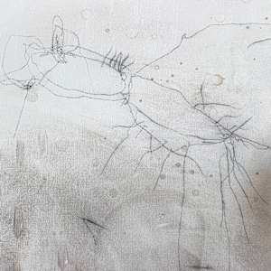 Liminal Frequencies - Echo Field 1 by Nicola Barth, Image 2.