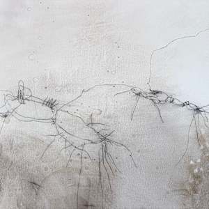 Liminal Frequencies - Echo Field 1 by Nicola Barth, Image 3.
