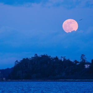 Dusk // 4 by Dylan James Lockard