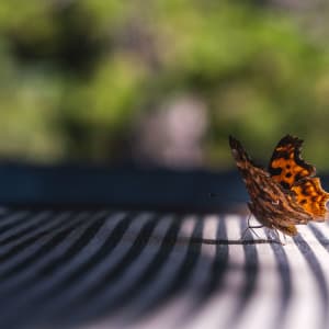 Life // 4 by Dylan James Lockard