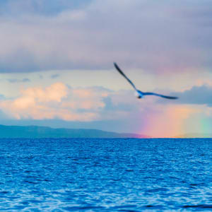 Life // 3 by Dylan James Lockard