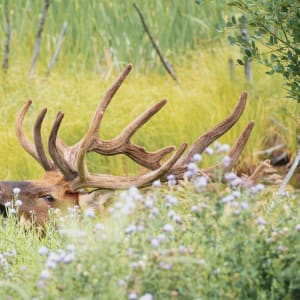 Life // 1 by Dylan James Lockard