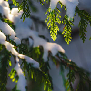 Dylan James Lockard // 4 by Dylan James Lockard