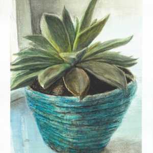 Joel's Pot by Ben Bull