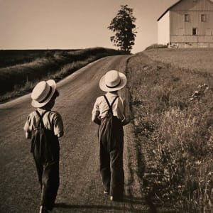 Lancaster County by George Tice