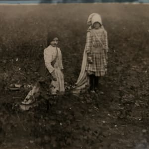 Girls in Cotton Field, Texas, 1913 by Lewis Hine