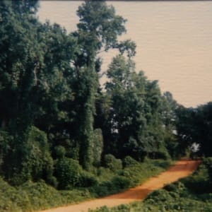Red Clay and Kudzu by William Christenberry