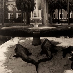 Welcome to Higher Education by Jerry Uelsmann