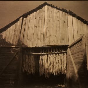 Tobacco Barn by Caroline Vaughn