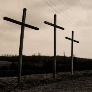 Hoop Dreams by Jessie Andrews