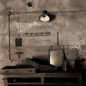 Ellis Island by David Simontin