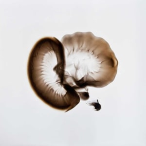 Untitled by Dennis Lee Mitchell