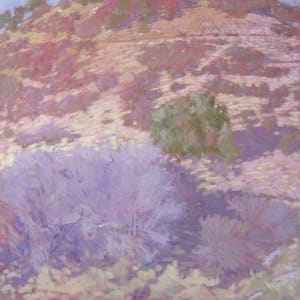 Brush Creek Hill by David Warner