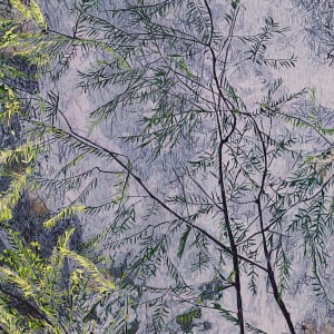 Thunder Spring (edition 2) Framed by Jean Gumpper