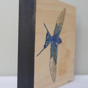 Barn Swallow by Cecilia Keilty 