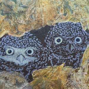 Burrowing Owls - Ernie and Bert by Cecilia Keilty, Image 4.