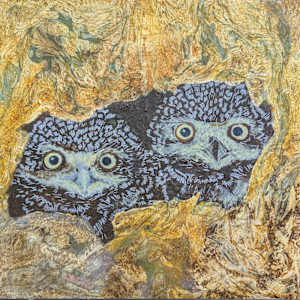 Burrowing Owls - Ernie and Bert by Cecilia Keilty, Image 3.