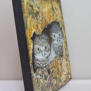 Burrowing Owls - Ernie and Bert by Cecilia Keilty, Image 1.