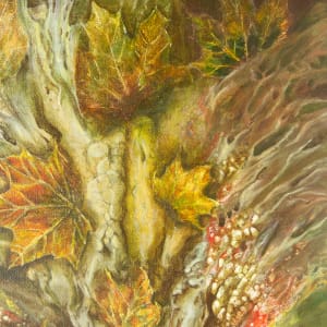 Forest Floor by Cecilia Keilty 