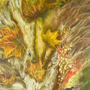 Forest Floor by Cecilia Keilty 