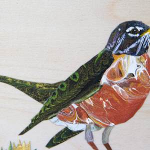 Robin by Cecilia Keilty 