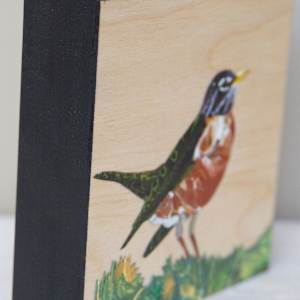 Robin by Cecilia Keilty 