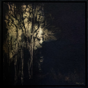 Moonlight Gums by Molly Coy