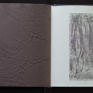 Handscapes 9/12 by Molly Coy ARTIST  .  Alan Coy PHOTOGRAPHER 