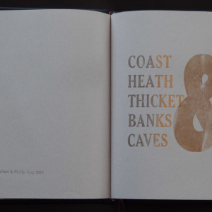 Handscapes 9/12 by Molly Coy ARTIST  .  Alan Coy PHOTOGRAPHER 