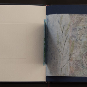 Handscapes 9/12 by Molly Coy ARTIST  .  Alan Coy PHOTOGRAPHER 