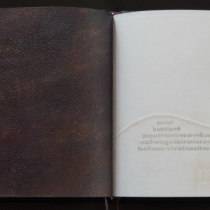 Handscapes 9/12 by Molly Coy ARTIST  .  Alan Coy PHOTOGRAPHER 