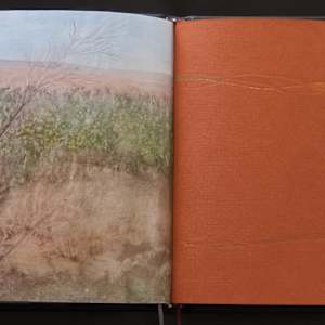 Handscapes 9/12 by Molly Coy ARTIST  .  Alan Coy PHOTOGRAPHER 