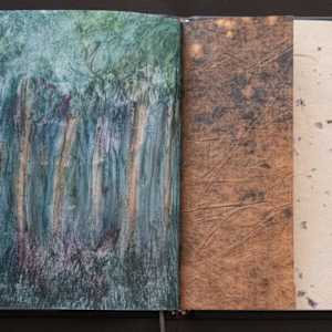 Handscapes 9/12 by Molly Coy ARTIST  .  Alan Coy PHOTOGRAPHER 