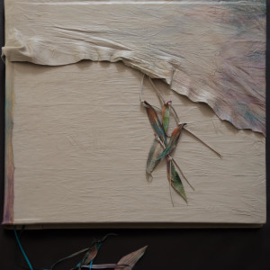 Layered Landscapes by Molly Coy ARTIST  .  Alan Coy PHOTOGRAPHER