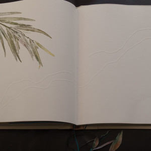 Layered Landscapes by Molly Coy ARTIST  .  Alan Coy PHOTOGRAPHER 