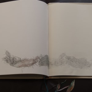 Layered Landscapes by Molly Coy ARTIST  .  Alan Coy PHOTOGRAPHER 