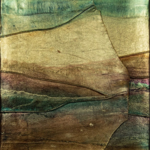 Embedded Memories by Molly Coy