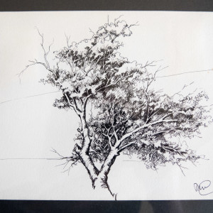 Pen & Ink by Molly Coy ARTIST  .  Alan Coy PHOTOGRAPHER