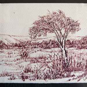 Pen & Ink by Molly Coy