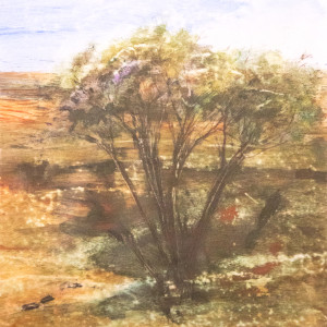 Tree Camp 1 by Molly Coy ARTIST  .  Alan Coy PHOTOGRAPHER