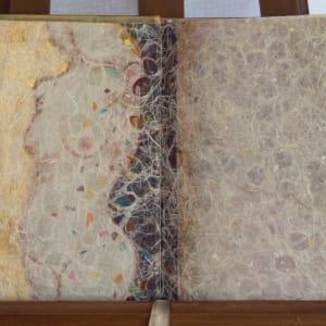 Body Book by Molly Coy 