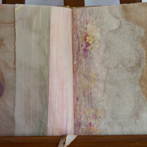 Body Book by Molly Coy 
