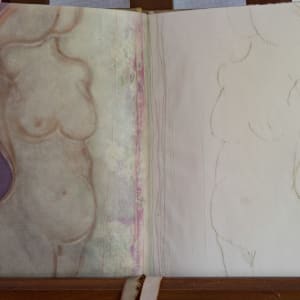 Body Book by Molly Coy 