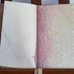 Body Book by Molly Coy 