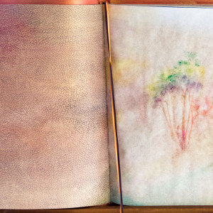 Narrative - Nullarbor 66 by Molly Coy 