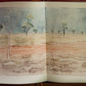 Narrative - Nullarbor 66 by Molly Coy 