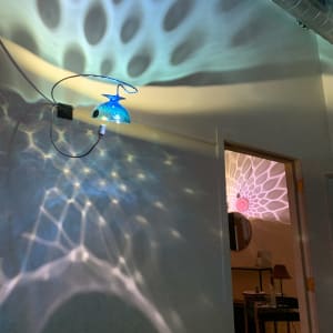 Altruistic Esthetics Installation by Dana Major