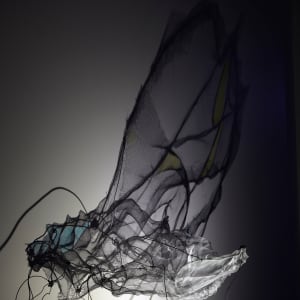 Surface Tension by Dana Major 
