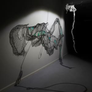 Aristotle by Dana Major 