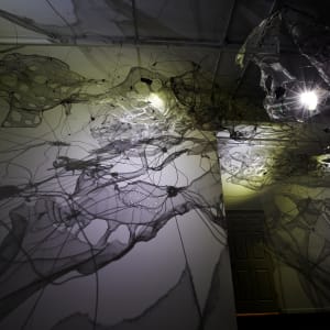 Shadow Matrix Evolution by Dana Major 